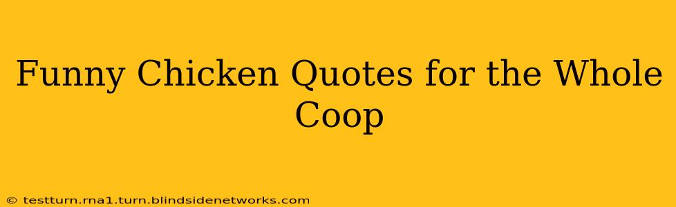 Funny Chicken Quotes for the Whole Coop
