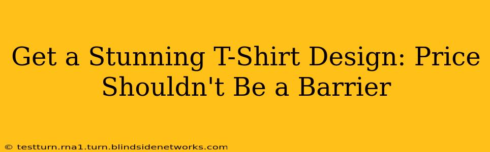 Get a Stunning T-Shirt Design: Price Shouldn't Be a Barrier