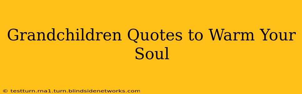 Grandchildren Quotes to Warm Your Soul