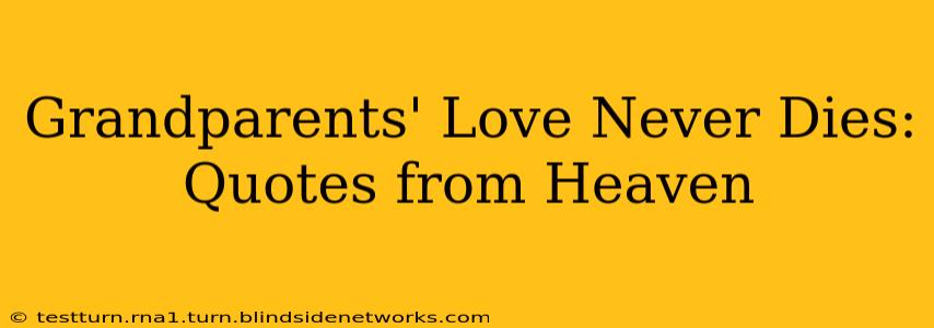 Grandparents' Love Never Dies: Quotes from Heaven