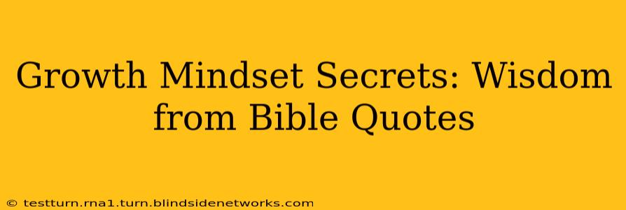 Growth Mindset Secrets: Wisdom from Bible Quotes