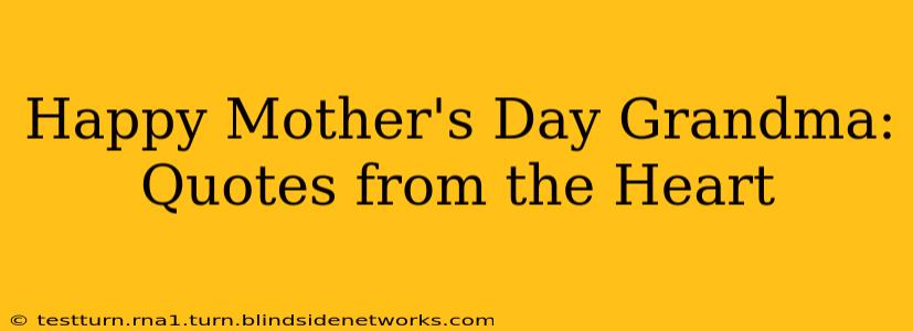 Happy Mother's Day Grandma: Quotes from the Heart
