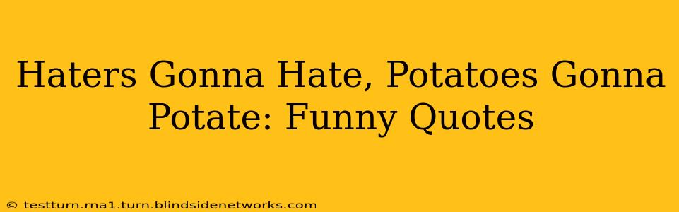 Haters Gonna Hate, Potatoes Gonna Potate: Funny Quotes