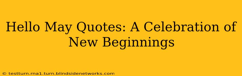 Hello May Quotes: A Celebration of New Beginnings