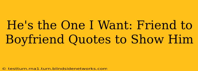 He's the One I Want: Friend to Boyfriend Quotes to Show Him
