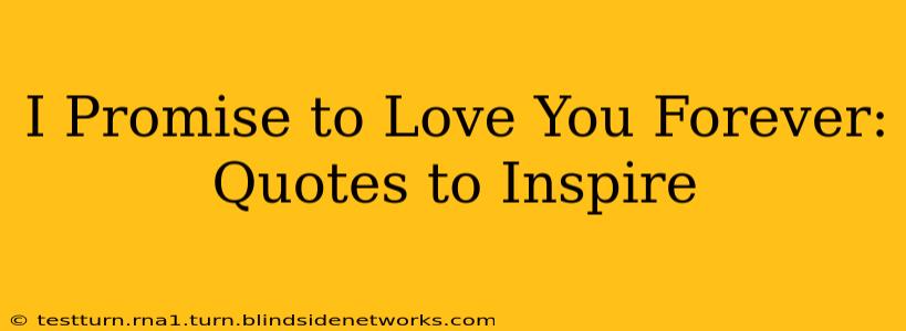 I Promise to Love You Forever: Quotes to Inspire