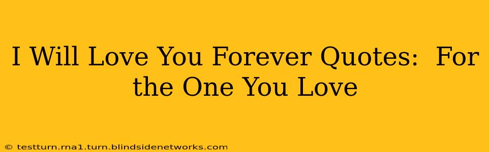 I Will Love You Forever Quotes:  For the One You Love