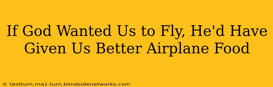 If God Wanted Us to Fly, He'd Have Given Us Better Airplane Food