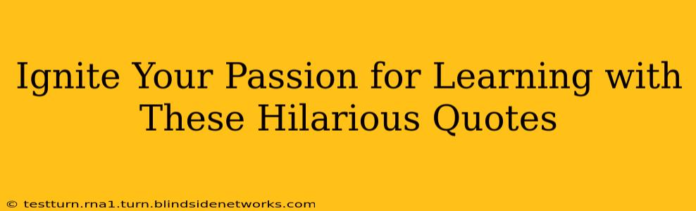 Ignite Your Passion for Learning with These Hilarious Quotes