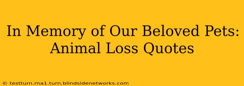 In Memory of Our Beloved Pets:  Animal Loss Quotes