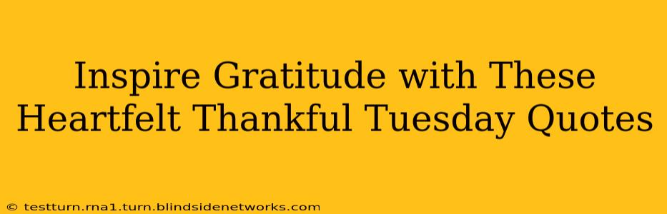 Inspire Gratitude with These Heartfelt Thankful Tuesday Quotes