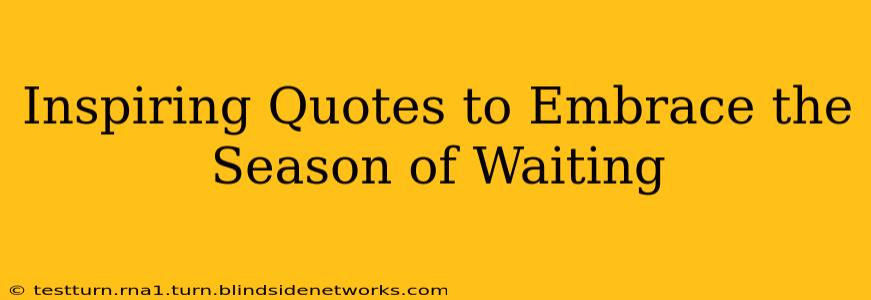 Inspiring Quotes to Embrace the Season of Waiting