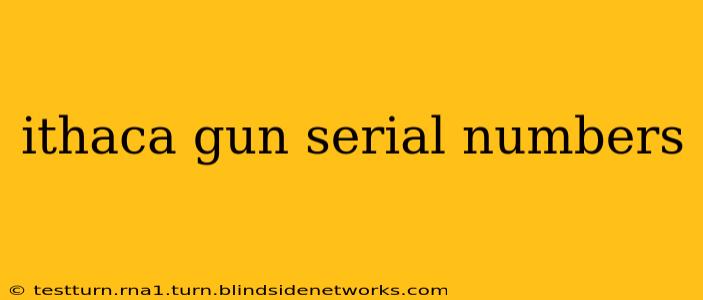 ithaca gun serial numbers
