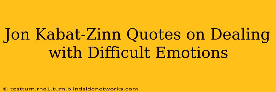 Jon Kabat-Zinn Quotes on Dealing with Difficult Emotions
