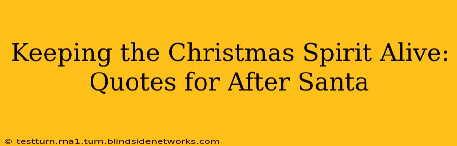 Keeping the Christmas Spirit Alive: Quotes for After Santa