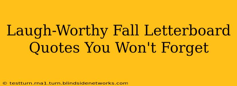 Laugh-Worthy Fall Letterboard Quotes You Won't Forget