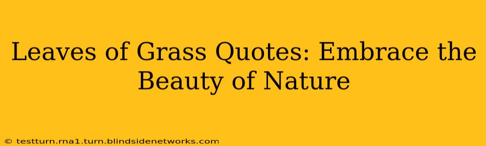 Leaves of Grass Quotes: Embrace the Beauty of Nature