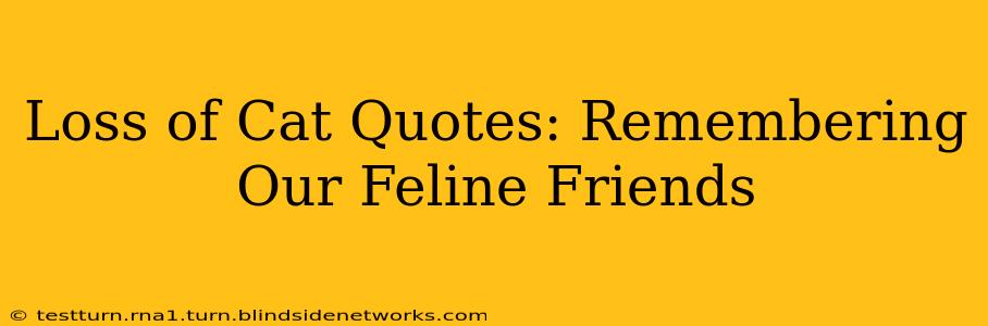 Loss of Cat Quotes: Remembering Our Feline Friends