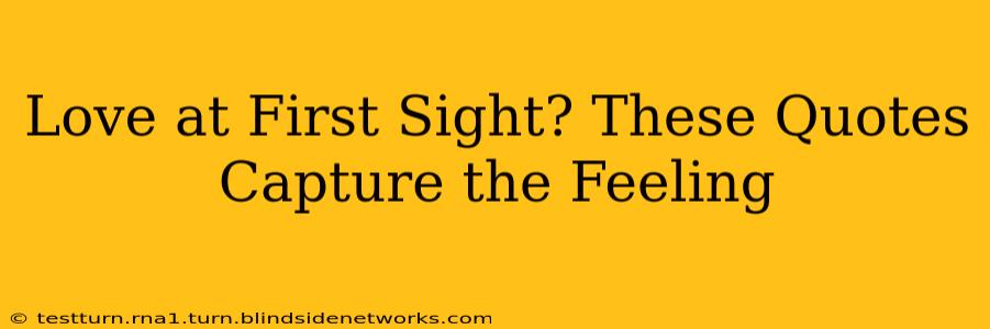 Love at First Sight? These Quotes Capture the Feeling