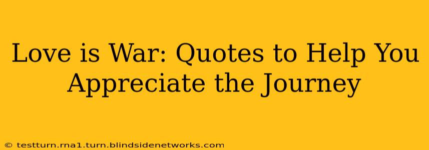Love is War: Quotes to Help You Appreciate the Journey