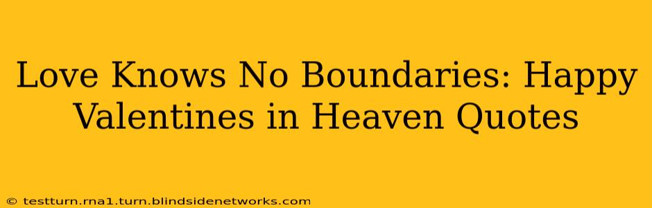 Love Knows No Boundaries: Happy Valentines in Heaven Quotes