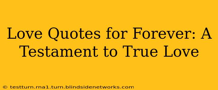 Love Quotes for Forever: A Testament to True Love