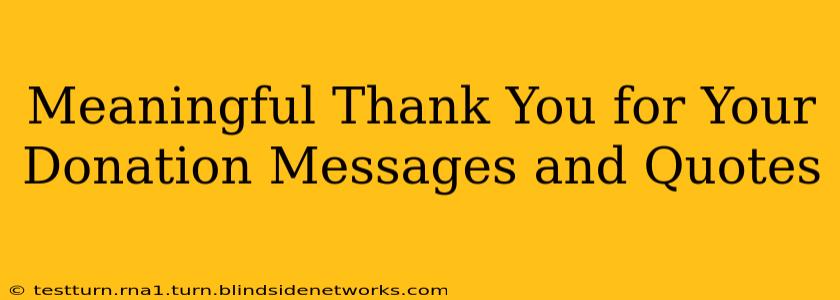 Meaningful Thank You for Your Donation Messages and Quotes
