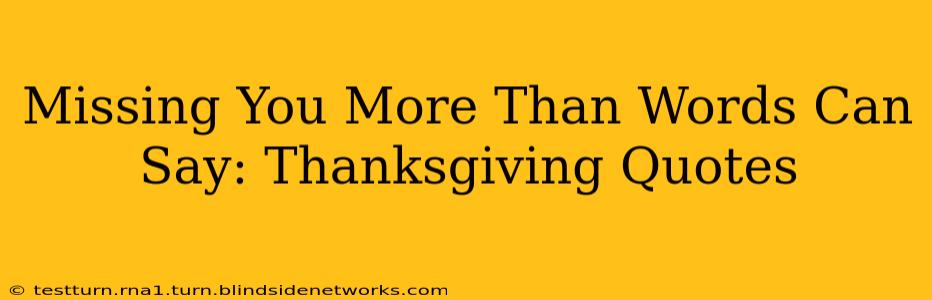 Missing You More Than Words Can Say: Thanksgiving Quotes
