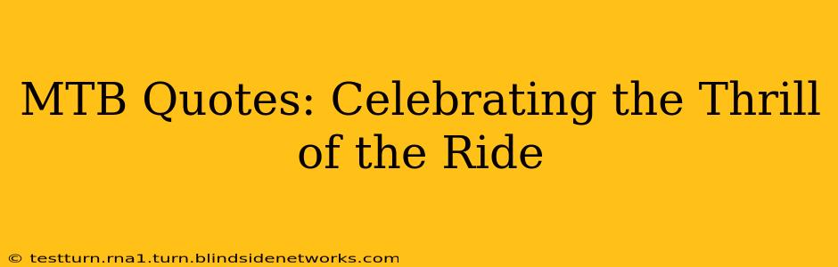 MTB Quotes: Celebrating the Thrill of the Ride