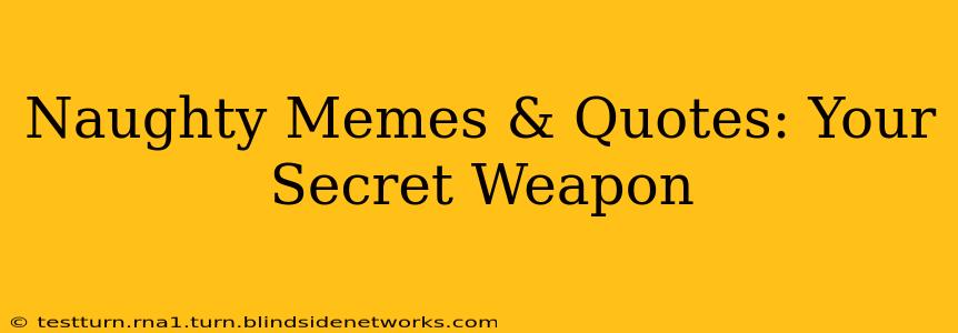Naughty Memes & Quotes: Your Secret Weapon