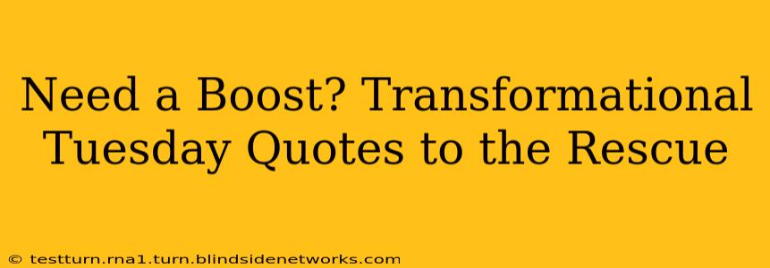 Need a Boost? Transformational Tuesday Quotes to the Rescue