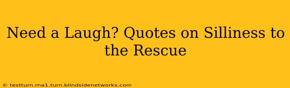 Need a Laugh? Quotes on Silliness to the Rescue
