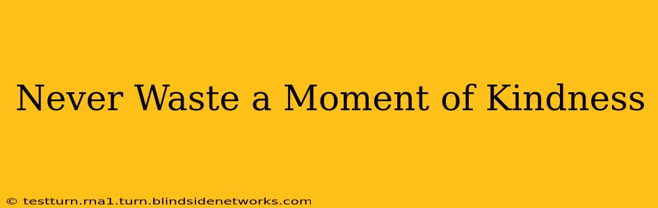 Never Waste a Moment of Kindness