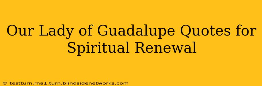 Our Lady of Guadalupe Quotes for Spiritual Renewal