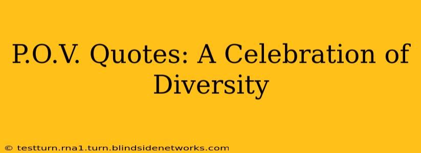 P.O.V. Quotes: A Celebration of Diversity