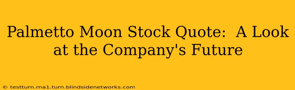 Palmetto Moon Stock Quote:  A Look at the Company's Future