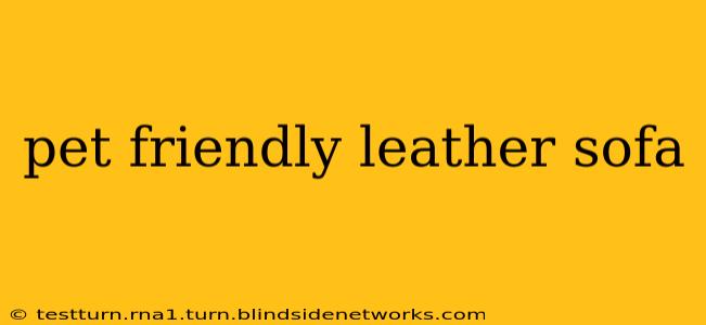 pet friendly leather sofa