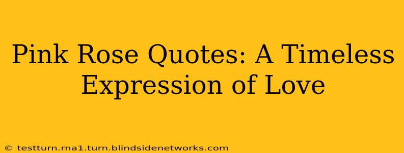 Pink Rose Quotes: A Timeless Expression of Love