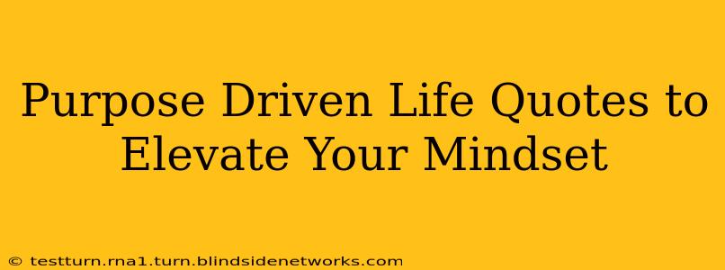 Purpose Driven Life Quotes to Elevate Your Mindset