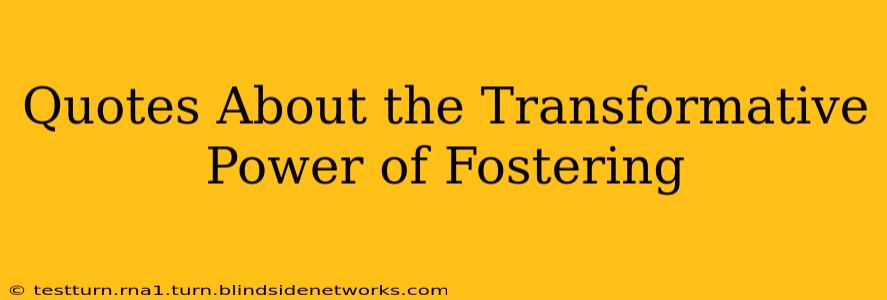 Quotes About the Transformative Power of Fostering