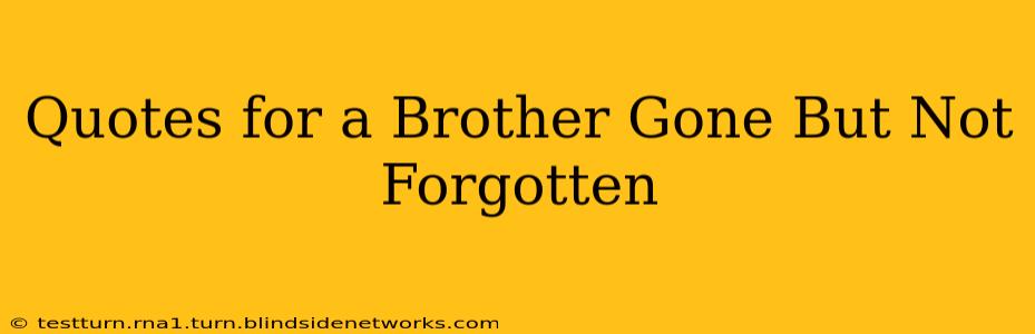 Quotes for a Brother Gone But Not Forgotten