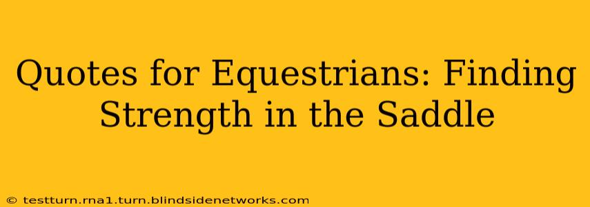 Quotes for Equestrians: Finding Strength in the Saddle