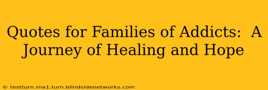 Quotes for Families of Addicts:  A Journey of Healing and Hope