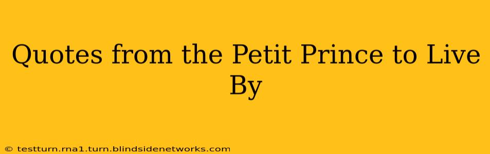 Quotes from the Petit Prince to Live By