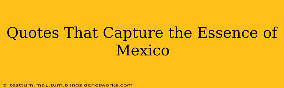 Quotes That Capture the Essence of Mexico