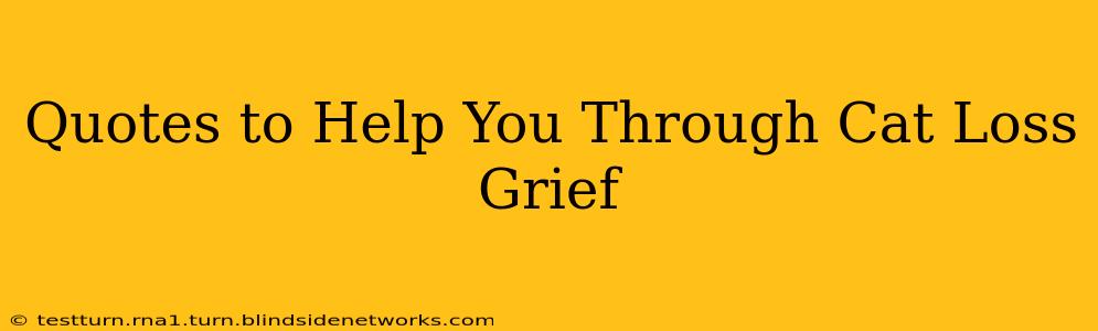 Quotes to Help You Through Cat Loss Grief