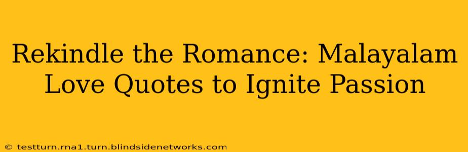 Rekindle the Romance: Malayalam Love Quotes to Ignite Passion