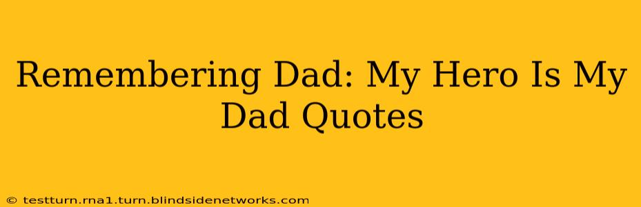 Remembering Dad: My Hero Is My Dad Quotes