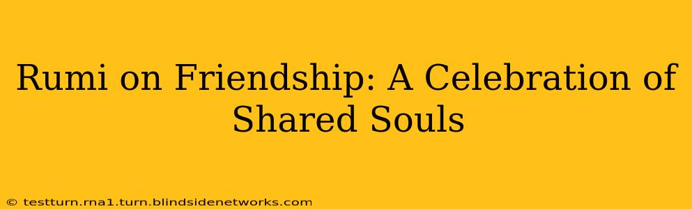 Rumi on Friendship: A Celebration of Shared Souls