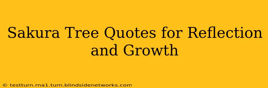 Sakura Tree Quotes for Reflection and Growth